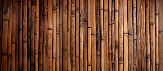 Texture of bamboo wood