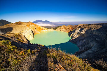 Deadwood Leafless Tree with Turquoise Water Lake,Beautiful nature Landscape mountain and green lake...