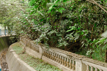 stone steps in garden