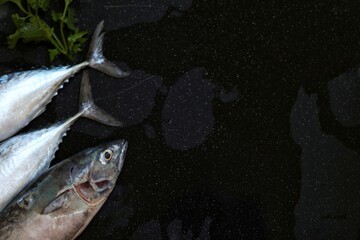 Tuna head, tail,tuna fish, sea fresh fish, on a black background, free space, place for text,...