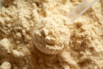Whey protein powder in a plastic scoop