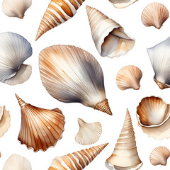 Seashell on a white background. - obrazy, fototapety, plakaty