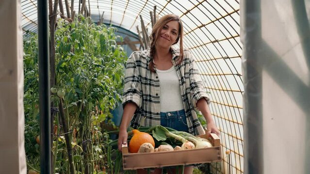 Young woman carrying freshly harvested vegetables in greenhouse