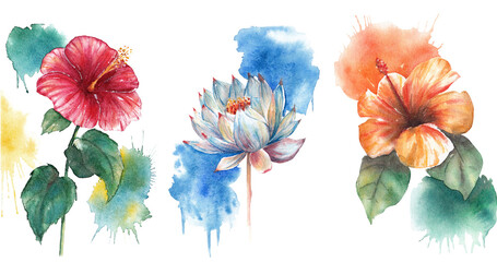 set of Watercolor flowers isolated on white background with watercolor splashes