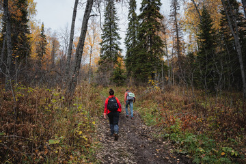 Obraz premium Ludi climbing uphill on a muddy road, autumn trekking in the forest, hiking with a backpack, family vacation in nature.