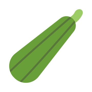 Lufa Vector Flat Icon Design