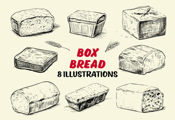 Collection of drawn Box bread. Sketch illustration