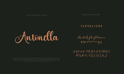 Signature font calligraphy logotype script brush font type font lettering handwritten
