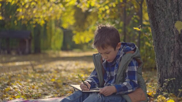 Enchanting Fall Studies: Smiling Schoolboy Completes Homework on a Yellow Leaf in the Autumn Park. High quality 4k footage