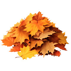 Pile of autumn leaves isolated on transparent background