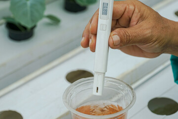 a female hydroponic farmer is checking the pH levels of hydroponic plant vitamin water.