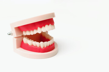 Dentures on a white background, flat lay, sample jaw