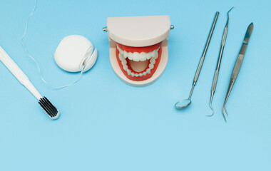 Jaw Model with Dental Tools on Blue Background, Flat Lay