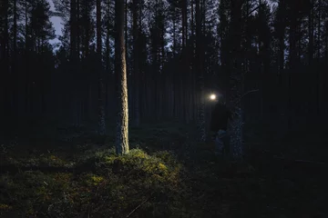 Fotobehang A man with a headlamp wanders through a pine forest in dark. © Dmitri