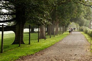 Powdreham Castle park road, Devon, United Kingdom, October 7 2023