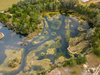 natural florida