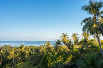 Fototapeta na wymiar Tropical calm landscape with palms on Koh Tao island in Thailand in the morning. High angle view on sea horizon, clear blue sky and green palm trees grove. Copy space