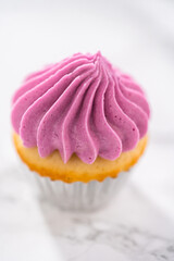 Mini Vanilla Cupcakes with Pink Buttercream Frosting