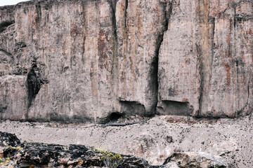 Avisaje de fauna y paisajes de la Patagonia Argentina