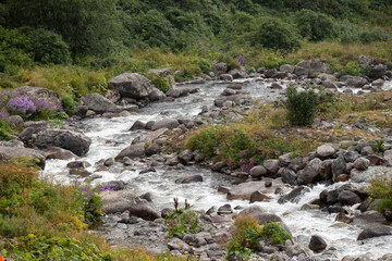 Water flows among the stones. Flow of water and stones. Stones in flowing water. Water conservation concept