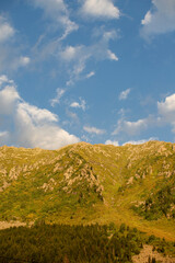 Green image of a high altitude mountain. Rize elevit plateau. green plateau