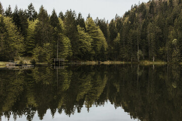 Spiegelung an einem Waldsee in den Bergen, Herbststimmung, Regentag 