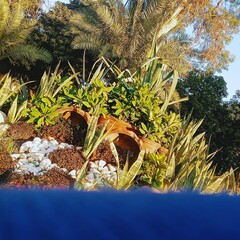 Peaceful Green Beauty: Serene Nature Views for Your Collection