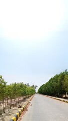 Peaceful Green Beauty: Serene Nature Views for Your Collection