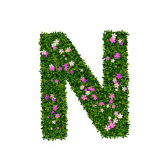 Letter n with leaves and flowers. Transparent png 