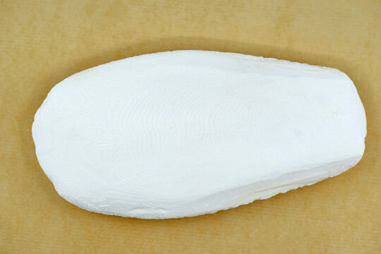 Cuttlefish bone - shells of cuttlefish, used for beak grinding and as a source of calcium for exotic birds and some other animals
