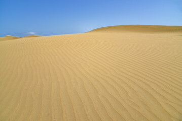 Fototapeta na wymiar Dünen von Maspalomas auf der Insel Gran Canaria