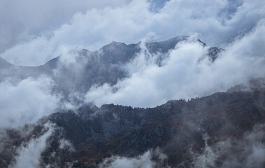 The Valtellina mountains shrouded in fog, taken from Val Madre, a small valley near the town of...