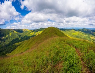 Aerial view of mountain hills covered with dense green lush woods on bright summer day.