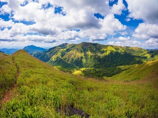 Aerial view of mountain hills covered with dense green lush woods on bright summer day.
