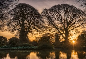 Sundown Serenade: Kew Gardens' Botanical Beauty at Sunset