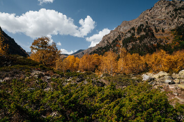 Caucasus mountains in autumn in the yellow forest
