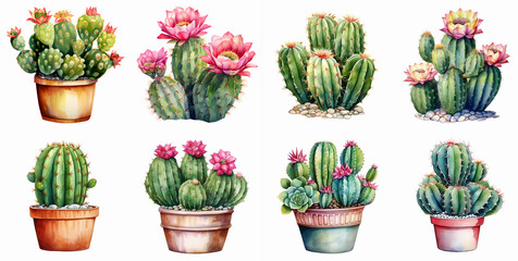Watercolor potted cactus with flowers clipart set isolated on a white background for crafts, invitations, scrapbooking, art projects - obrazy, fototapety, plakaty