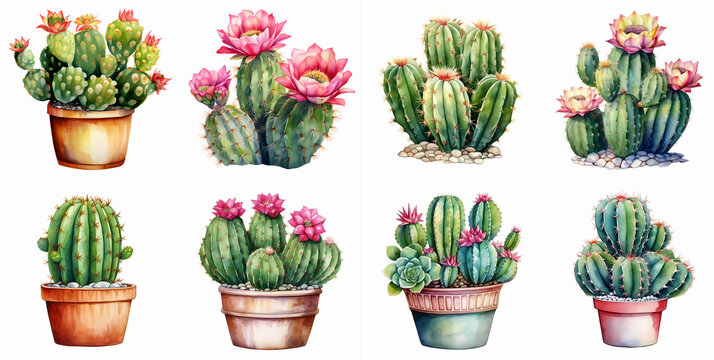 Watercolor potted cactus with flowers clipart set isolated on a white background for crafts, invitations, scrapbooking, art projects