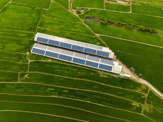 Overlooking farm paddy fields and solar farms