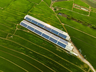 Overlooking farm paddy fields and solar farms