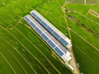 Overlooking farm paddy fields and solar farms