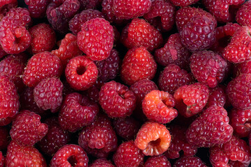 fruit banner from the harvest of ripe organic raspberries background