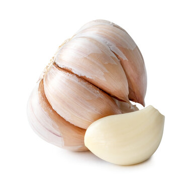Fresh garlic bulb with clove isolated with clipping path and shadow in png file format
