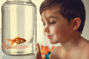 A child plays with a fish in a jar. The child got an animal.A child studies a fish