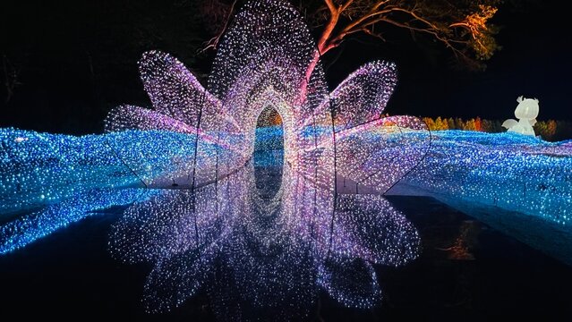  Nasatta Light Festival Winter Illumination 2024.