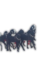 Traditional Pakistani Villages: Stunning Goat Racing in the Midst of Scenic Beauty