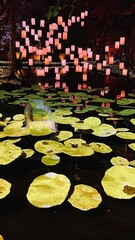  Nasatta Light Festival Winter Illumination 2024.