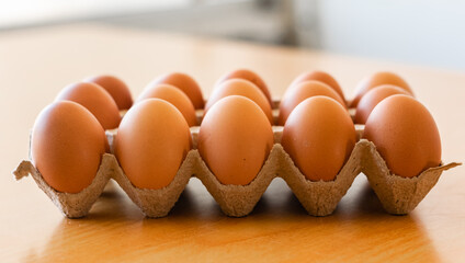 Eggs in a gray container,  holding afresh organic egg