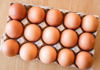 Eggs in a gray container,  holding afresh organic egg