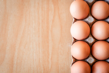 Eggs in a gray container,  holding afresh organic egg